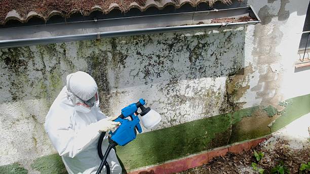 Top rated local Mold Remediation specialists in Clackamas, OR